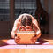 Esercizio su ordinazione di yoga di Logo Recyclable Wholesale Solid Natural Cork Yoga Block For Indoor